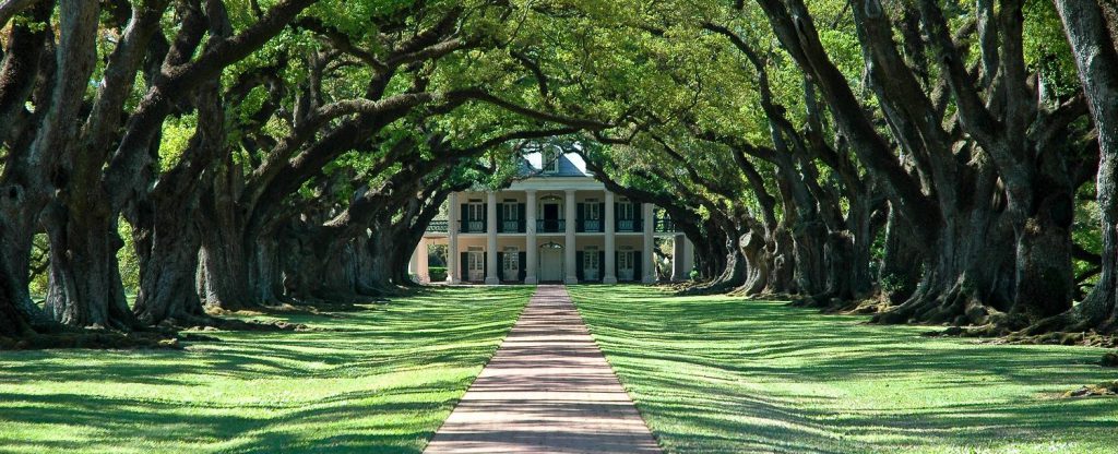 Plantation In Myrtle Beach