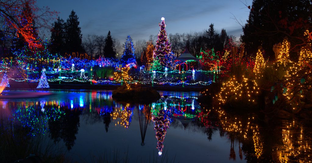 Beautiful Christmas light display in north myrtle beach